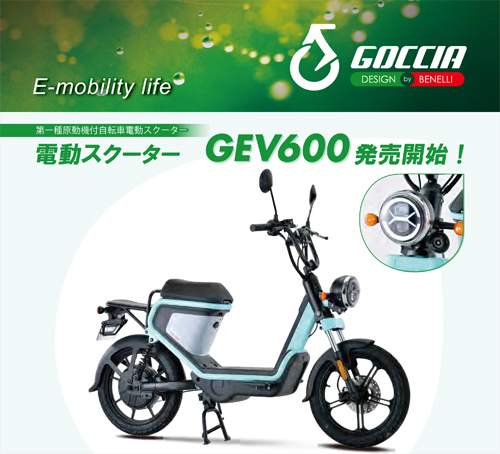 GEV600ﾊﾟﾝﾌﾚｯﾄ